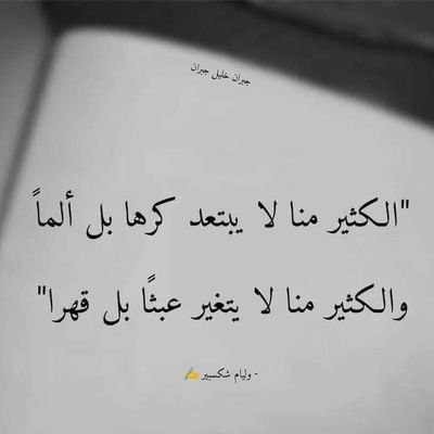 Osman09141's profile picture. 