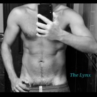 Lynx 2️⃣ (@the_lynx_2) 's Twitter Profile
