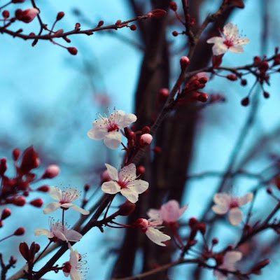 AsmundEids53884's profile picture. 