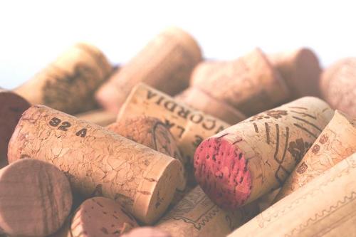 TasteCulture's profile picture. Juibilant Wine Imports seeks to bring wines from regions you may have never thought of. Join us on this adventure. Taste a difference, more so Taste Culture!