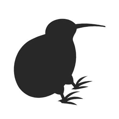 newto2024's profile picture. 