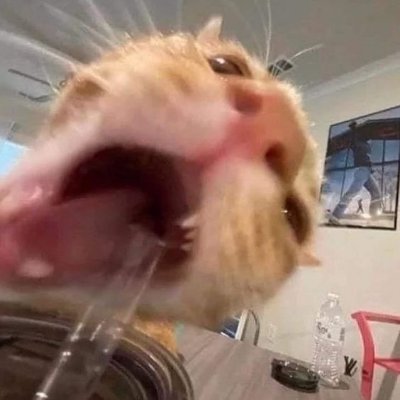 iAmReapZ_'s profile picture. 22
hi
bin professioneller mathis mobber

https://t.co/yMqRcIALH6