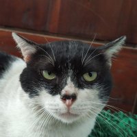 Drs.WAKAPOLDUR (@wakapoldur) 's Twitter Profile Photo Drs.WAKAPOLDUR (@wakapoldur) 's Twitter Profile Photo