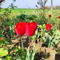 one_row (@shortoneliner) 's Twitter Profile