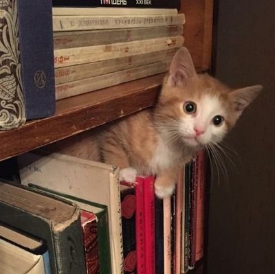 mianotes3's profile picture. Ψ •  22y  •  stay | carat | swiftie                                                                             

i'm going somewhere