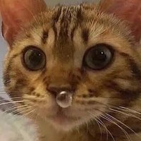 quu-zie (@quuzie) 's Twitter Profile
