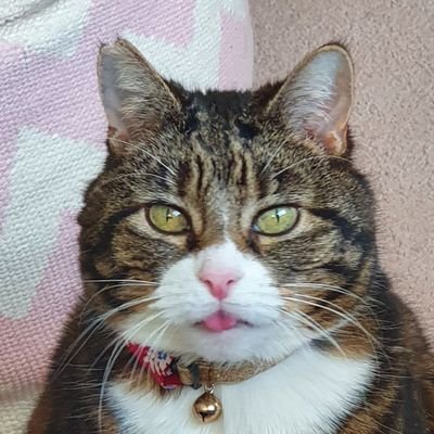 rich_allen85's profile picture. SRFC | French Football Writer/Podcaster (on hiatus) | Alcohol Free | ADHD | Depression | Anti right wing | Safe space