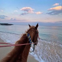 Manal (@manal_9aa) 's Twitter Profile