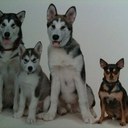 leanne lake - @fingers7 - Twitter