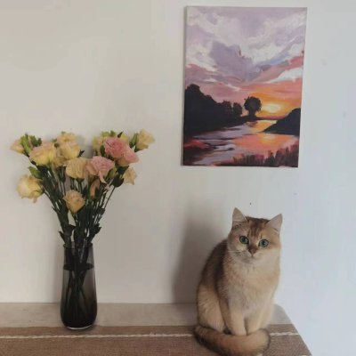 kevin1145928's profile picture. 