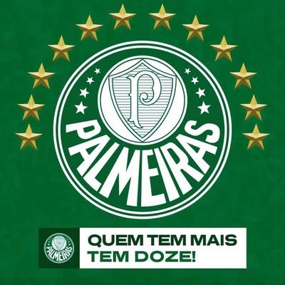 Apaixonado pelo Palmeiras. 💚
