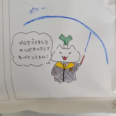ねぎ🌙🎨🍃🎀⛩️⛓️📦🍎🐣🍊🐾🍙🐝🥔さんのプロフィール画像