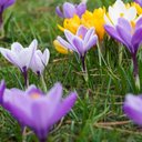 Mattie Harper - @harper_mat15985 - Twitter