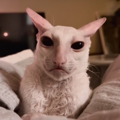 gargoylelover28's profile picture. I usually tweet when I’m thinking intellectually and need the world to hear