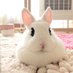 羽生理恵🐰うさぎファース党 (@yuzutapioka) Twitter profile photo 羽生理恵🐰うさぎファース党 (@yuzutapioka) Twitter profile photo