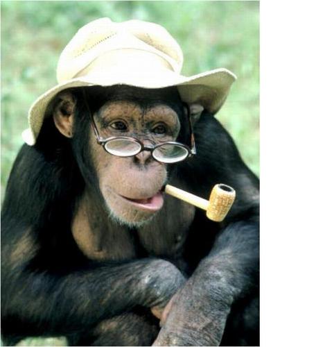 MrKrinskiy's profile picture. 