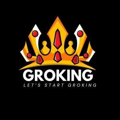 groking_erc20's profile picture. 
