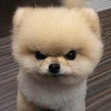 LittleCat27_'s profile picture. 