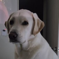 andy Yoon (@andyyoon6119) 's Twitter Profile