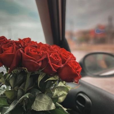 یه اردیبهشتی اهل شعر ،مدرس، نویسنده، روانشناس📝💼🧠