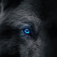 witanCK (@chiragkhutia) 's Twitter Profile