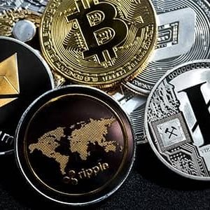 Krishna93444872's profile picture. Every crypto related airdrop will be available in this channel
Join YouTube channel : https://t.co/ns1awkVof5