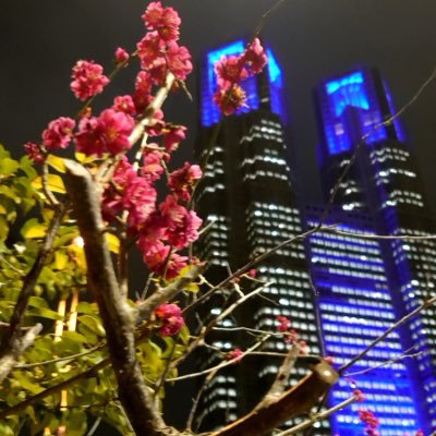 8nLYT0K6S2TErD7's profile picture. 