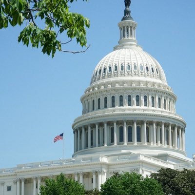 Young Politician, Future Representative of D-NY at the U.S. Congress.