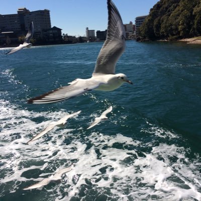 m_yamada_1977's profile picture. 株と暗号資産を挑戦中！ 無言フォロー失礼いたします。