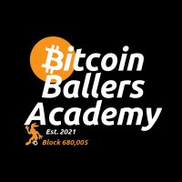 ₿itcoin ₿allers Academy(@BallersBitcoin) 's Twitter Profile Photo