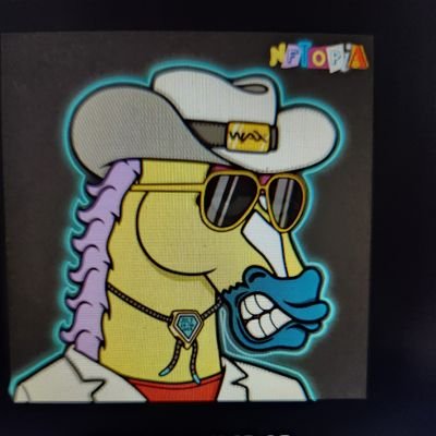 JohnyGuerra3's profile picture. 