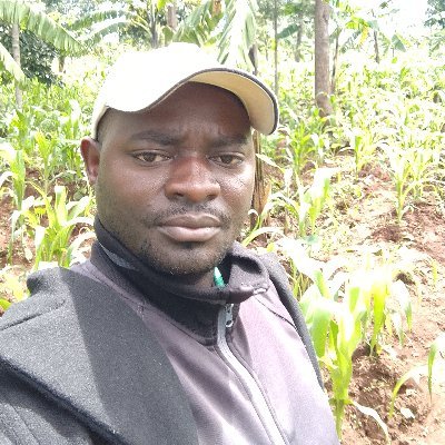 NiyonzimaDanie3's profile picture. 