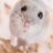 hamchiis_ham's profile image