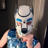 Pup Cooper (@alphapupcooper) 's Twitter Profile