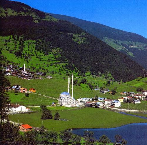 abedshuibi's profile picture. 