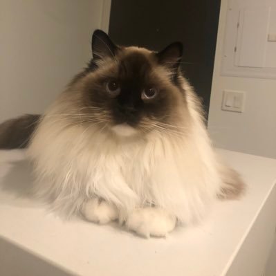 PoetryinDesign's profile picture. 