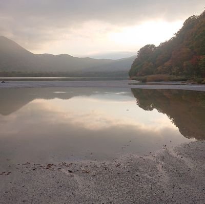 shi981999's profile picture. メンエス用