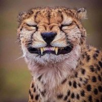 Mo Zaid (@mzaid528) Twitter profile photo