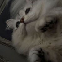 Sumatthana15419 (@sumatthana15419) 's Twitter Profile