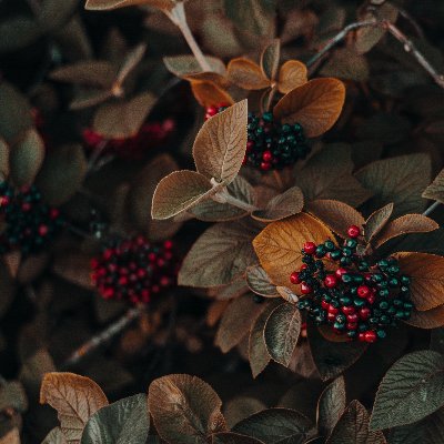 onagawadosu's profile picture. オーディオ信号処理に興味があります。
回路設計・ハードウエア製作なんかが最近の趣味です。
2025/4/1 休職から復帰しました。
東京→新潟→神奈川