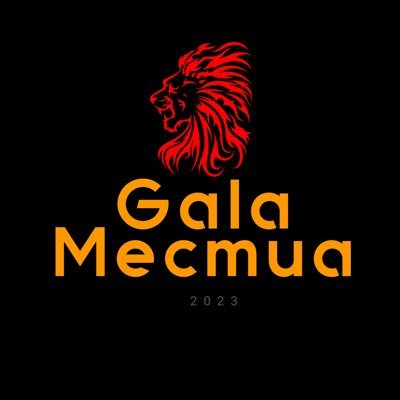 Objektif Değilim GALATASARAYLIYIM 🦁 #Gala1905 #WeAreGala #SevdamizGs1905