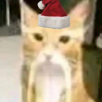 newoeditsae's profile picture. portifolio: https://t.co/jyUinS31WR
Cantor e Editor