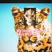 Mtu Leopard (@mtuleopard) Twitter profile photo Mtu Leopard (@mtuleopard) Twitter profile photo