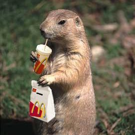 w1xJy70kalKgJAC's profile picture. 🍓🗞️⚡️歴史、考古学、古墳、旧字体、文房具など/いつか五色塚古墳に行きたい/無言フォロー失礼します