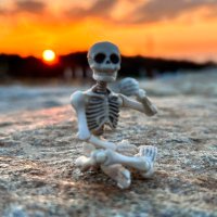 十式 (@zissiki) 's Twitter Profile Photo