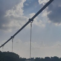 P__M1 (@pm47320) 's Twitter Profile