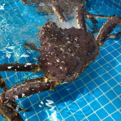 hmchun2017's profile picture. 