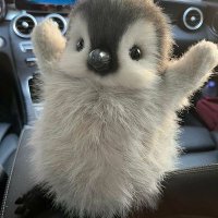 kitty (@candy1431431) 's Twitter Profile