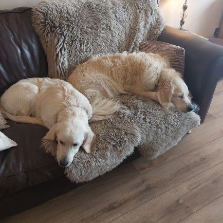 GreensideHead's profile picture. Headteacher