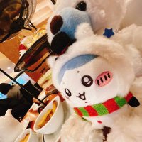 しゃげ@プロカあり (@syg_x_x_) 's Twitter Profile